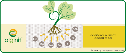 Nutrient supply with Alginit - additional nutrients to soil