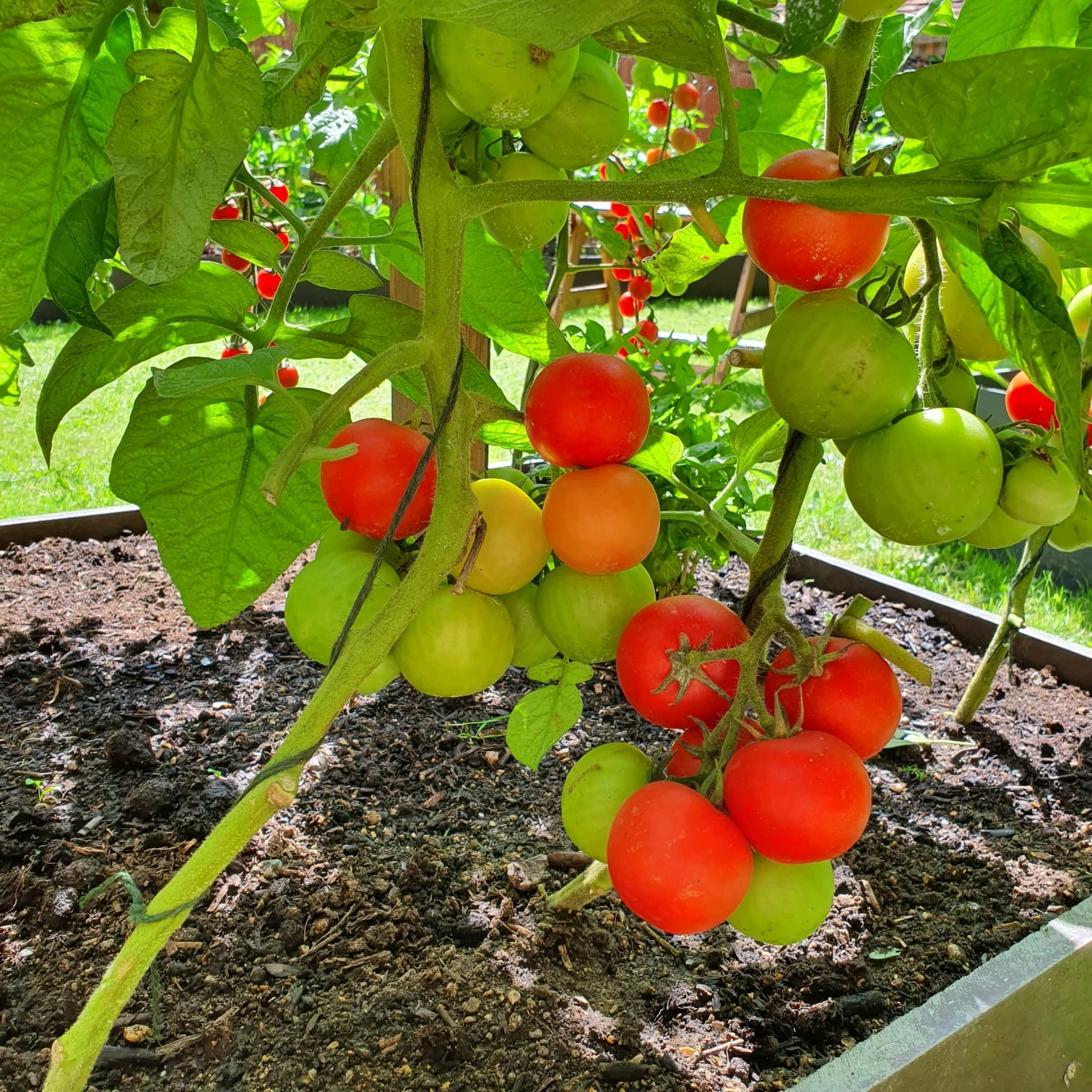 Modular garden expansion — adding an extra bay to an existing recycled plastic raised bed system