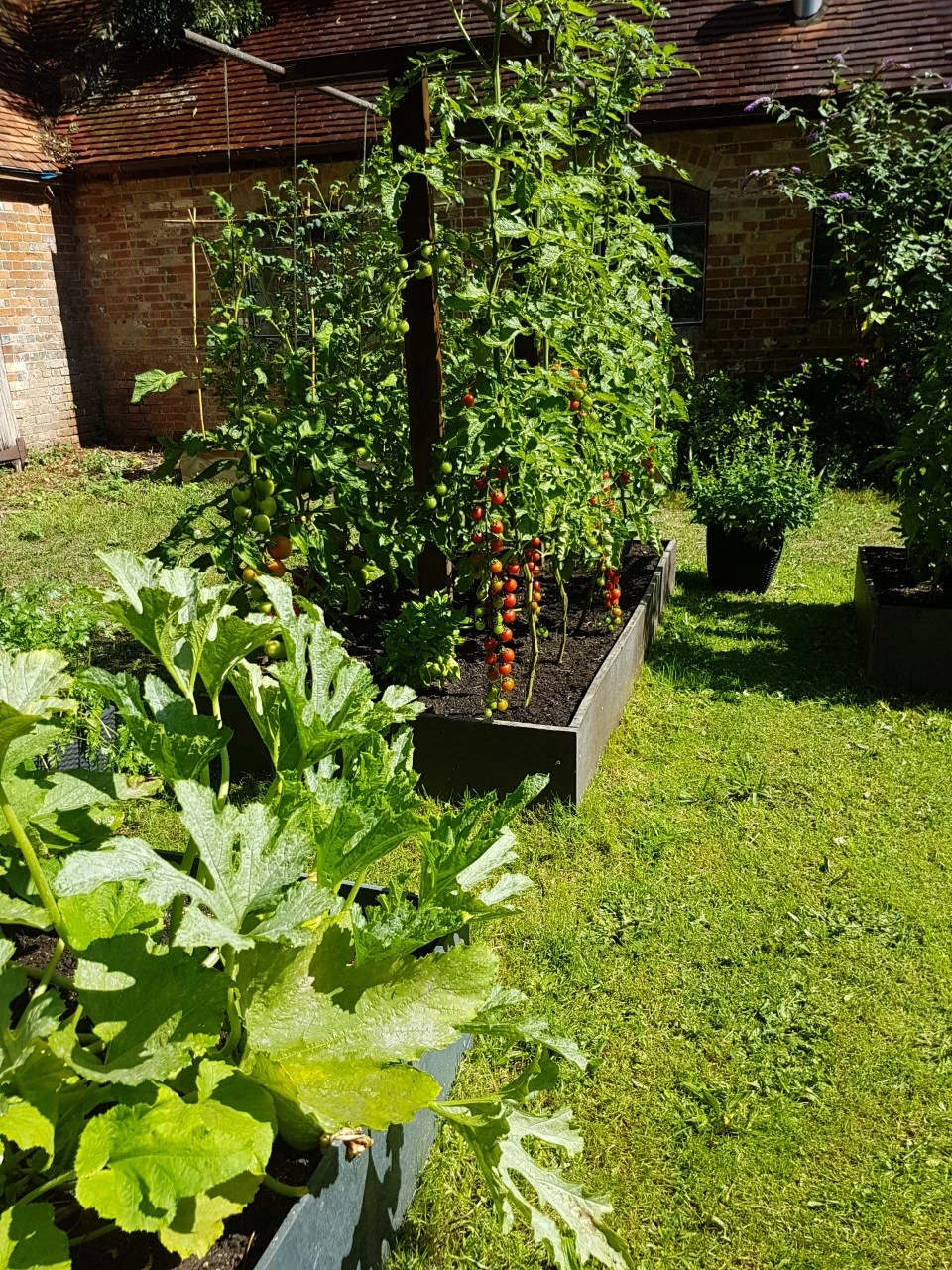 Vegetable garden raised bed with no timber decay
