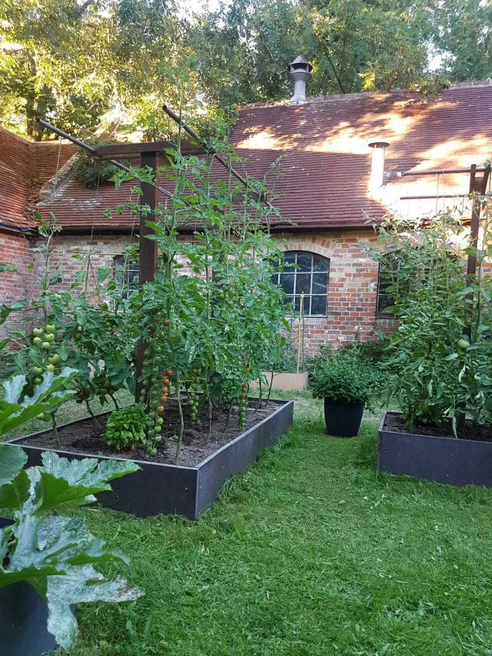 Raised bed in direct contact with soil showing no decay or moisture damage