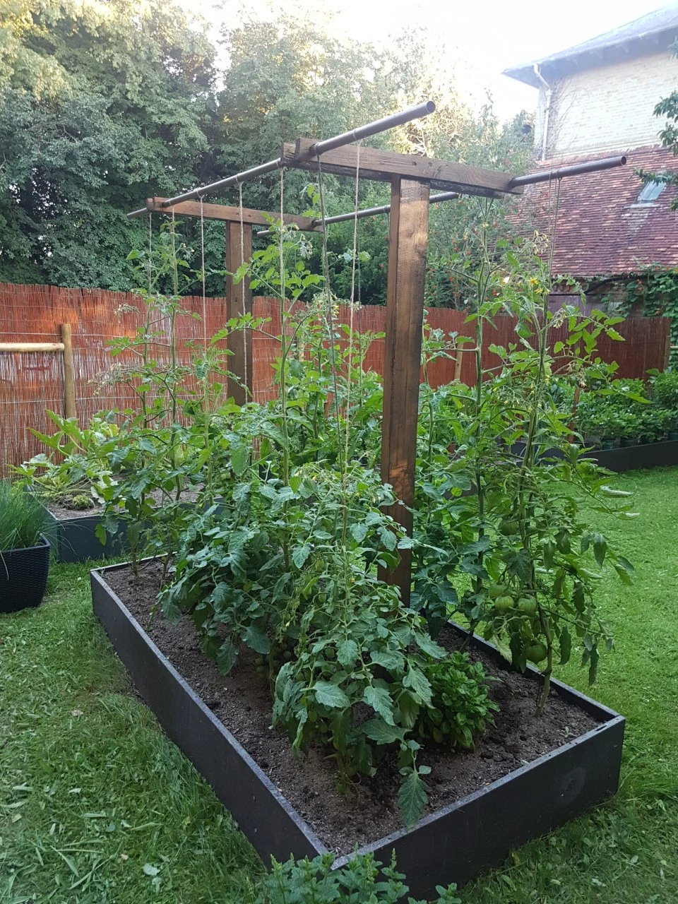 Raised vegetable bed constructed using Ezotrade recycled plastic boards – fully resistant to soil moisture and decay.