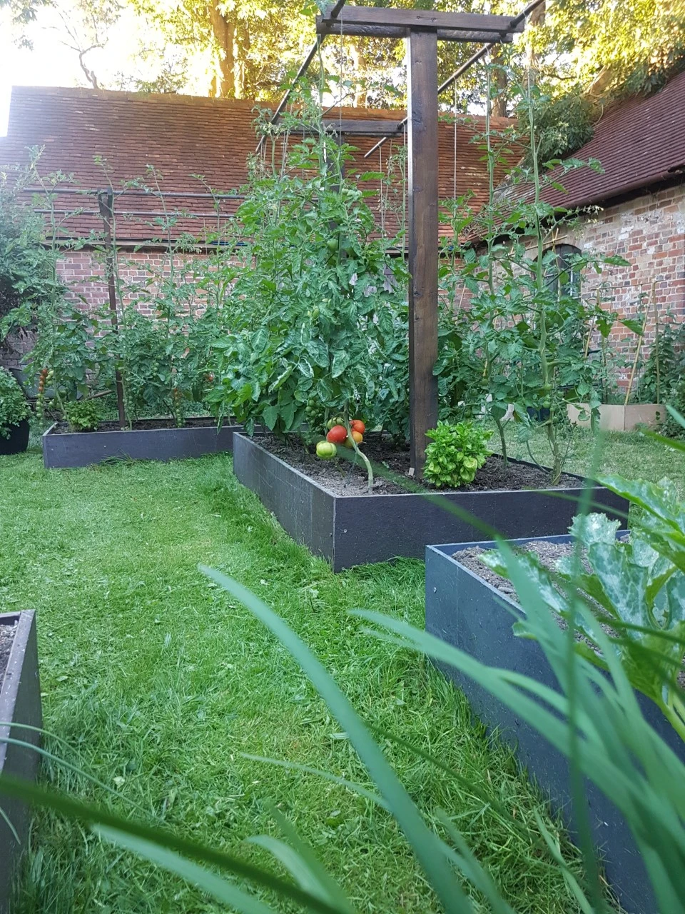 Sustainable garden full view Ezotrade