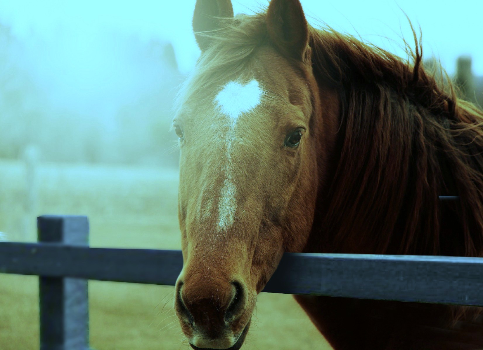 Professional equestrian fencing made with recycled plastic